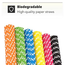 H&S Paper Straws 120pcs Biodegradable Recyclable Drinking Straws for Party Birthday Wedding