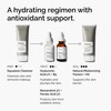 The Ordinary Resveratrol 3% + Ferulic Acid 3%, Antioxidant Serum