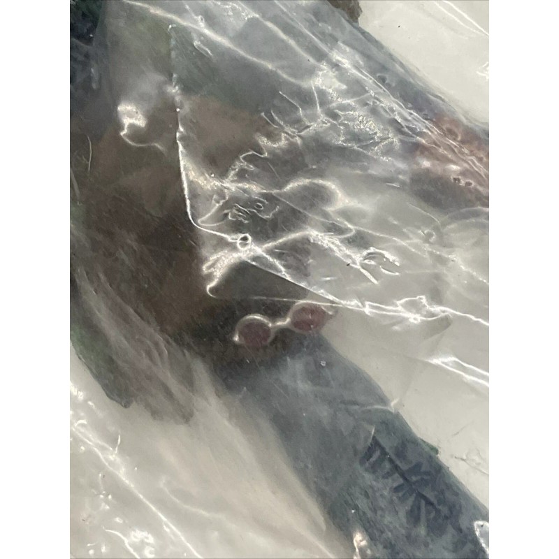 McFarlane Toys SUPER JANIS JOPLIN 6" 2000 ACTION FIGURE Hat