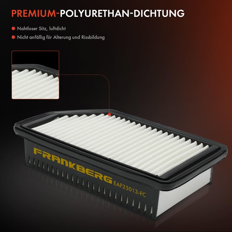 Frankberg 1x Air Filter Insert Petrol Compatible with Rio III