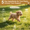 Petnanny Cranberry Supplement for Dogs - Urinary Tract Support