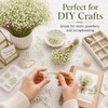 100Pcs Baby’s Breath Flowers, White Gypsophila for Wedding