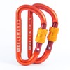 GO!elements Mini Carabiner Micro 6 with Screw Fastener, red