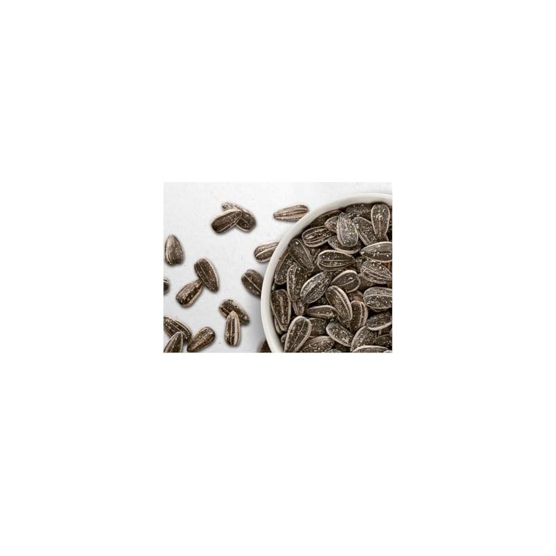 Jumbo Salted and Roasted Sunflower Seeds in Shell, 5.25 oz
