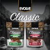 Evolve Classic Beef & Bison Recipe Jerky Bites Soft Dog