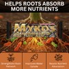 Xtreme Gardening Mykos Mycorrhizae for Plants 100g (3.5oz) – Granular