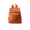 Woodland Leathers Genuine Leather anti theft backpack for women, Medium