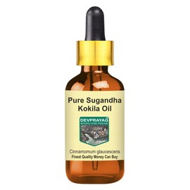 DEVPRAYAG Pure Sugandha Kokila Essential Oil (Cinnamomum glaucescens) with Glass Dropper 100% Natural Therapeutic Grade Steam Distilled 5ml (0.16 oz)