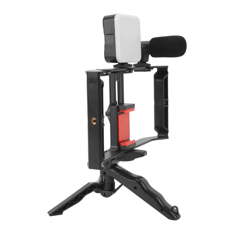 Phone Live Streaming Kit with Fill Light Microphone Sound Cable