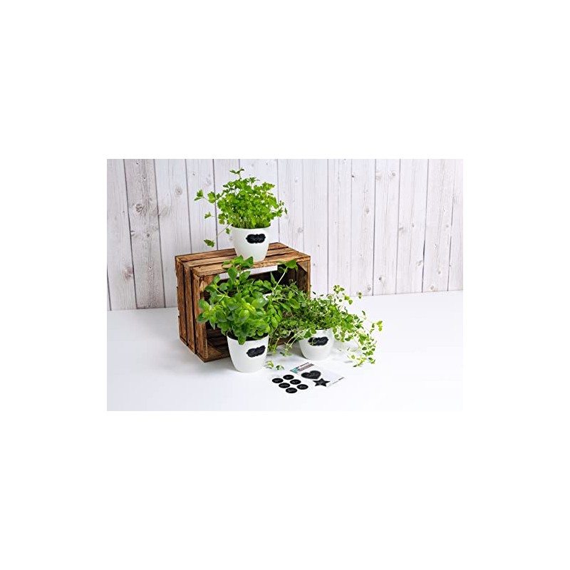 Jewellery Label Blackboard Labels Cloud