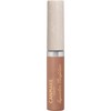 Canmake Eye Color Magician 04 Faint Premonition, 3.6ml Liquid Eyeshadow