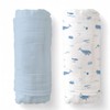 SUNSHINE & SNUGGLES Soft 100% Cotton Swaddles for Newborns, 2-