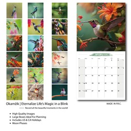 2025-2026 Wall Calendar Hummingbird Planner Calendar, Hangable Monthly Wall Calendar with Large Blocks for Organizing & Planning, Academic Schedule, Home, Office & family, Thick & Sturdy Paper (12"x24" Open)