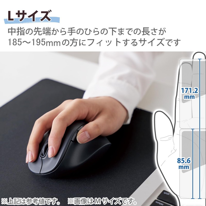 Elecom M-XGL30DBSKBK EX-G Wireless Mouse, 2.4 GHz, Quiet, Large Size,