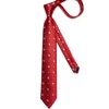 DiBanGu Christmas Ties for Men Xmas Holiday Necktie and Pocket