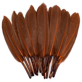 FeelfunFeather 120pcs Coffee Brown Goose Cochettes Feather Natural bulk 4-6 inch 10-15cm for Wedding Party Christmas Decorations DIY Crafts Goose Cochettes Feather