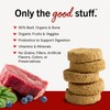 Stella & Chewy's Freeze-Dried Raw Dinner Patties - Beef Recipe