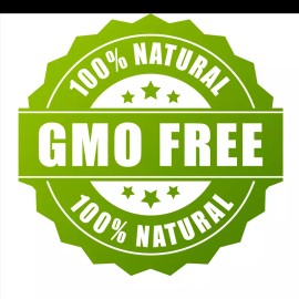 Honest Seed Co. Heirloom Peppermint Seeds | Non-GMO Herb Garden Perennial Seeds from USA