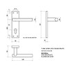 HANDLESTORE T-Bar Lever Backplate Door Handle | Black Door Handles
