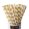 CTIGERS Cute Pineapple Patterns Paper Straws Summer Friut Style Biodegradable