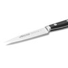ARCOS Paring Knife 4 Inch Stainless Steel. Kitchen Knife for