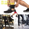 Ankle Straps for Cable Machines Kickback 1 Pair Groot Abs