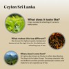 Twinings Ceylon Tea | Lively, Crisp & Refreshing Black Tea