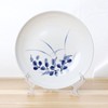 Litoexpe 24 Pcs 4 Inch Clear Plastic Easels Plate, Picture