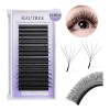 Blister Extensiones De Pestañas Mink 5d W Shape Mink Yy