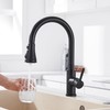Kitchen Faucet Spray Head Replacement - Pull Down Faucet Sprayer