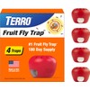 Terro Fruit Fly Traps for Indoors (4 Pack) + 180