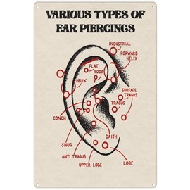 Retro Sign Tin Sign Various Types of Ear Ear Piercings Knowledge Aluminum Sign Wall Decor Shed Garage Man Cave Kitchen 8 X 12 Inch
