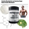 American Supps Creatine Monohydrate 500g - Creatine Monohydrate