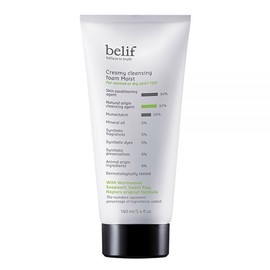 Belif Creamy Cleansing Foam Moist 160ml x 1 / 빌리프 크리미 클렌징 폼 모이스트 160ml x 1개