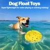Floating Dog Toys –E-TPU Water Pool Fetching Toy with Rope