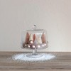 Creative Co-Op, Clear Glass Food Pedestal with Cloche, Medium