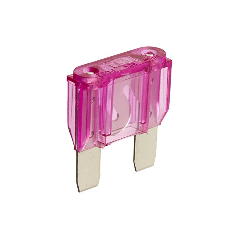 Rockford Fosgate 100 Amp Maxi Fuse
