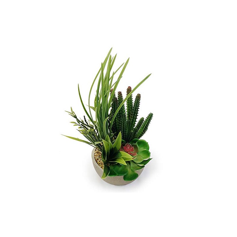 allgala Small Desktop Artificial Combination Succulent Plant Group with Natural