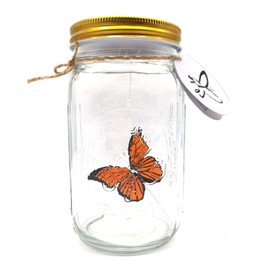 Animated Butterfly in A Jar, Xafissy Butterfly Jar That Moves with LED light Romantic Glass Animated Butterfly Jar Battery Operated Butterfly Collection Gift For girls and boys (Orang)