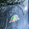 Handmade Green Cheek Conure CAR Stickers (cinnamon ) Outdoor use