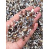 GAF TREASURES Botswana Agate Chips C Natural Mini Botswana Agate