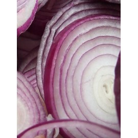 Onion RED Creole Great Heirloom Vegetable 300 Seeds