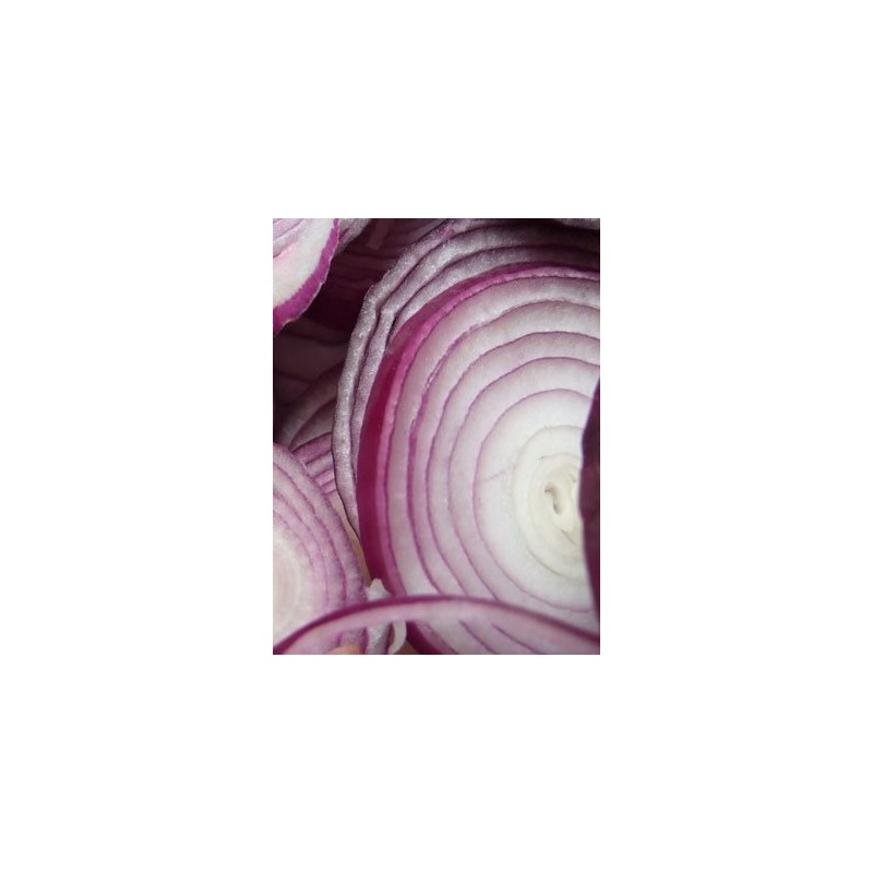 Onion RED Creole Great Heirloom Vegetable 300 Seeds