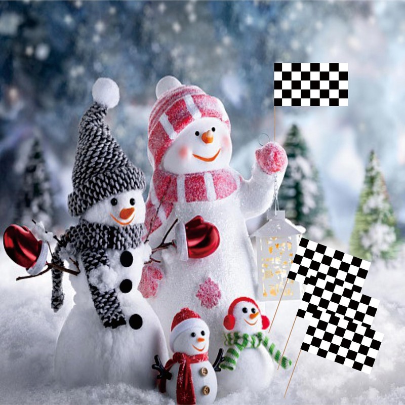 Checkered Black and White Racing Toothpick Flag Race Car Small