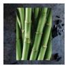 Body Wash Raw Sugar Carbon