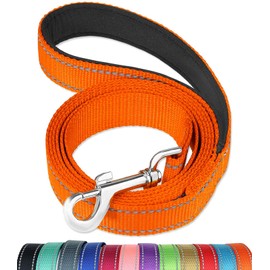 FunTags 6FT Reflective Dog Leash with Soft Padded Handle for Training,Walking Lead for Large & Medium Dog,1 Inch Wide,Orange