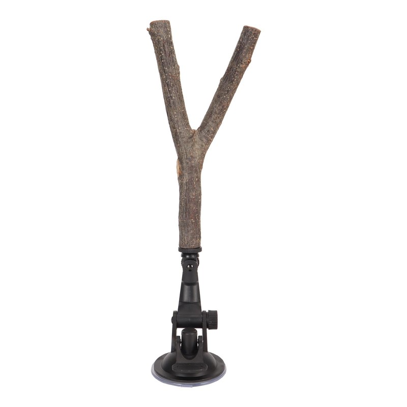 Wooden Perch, Easy Installation Interactive Beak Grinding Bird Branch Perch
