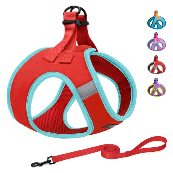 Dog Harness with Leash Set, No Pull Dog Harness for