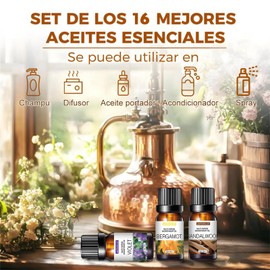 SQEEQE | Aceites Esenciales de Aromaterapia 16PCS, Aceites Esenciales para Difusor, Hacer Velas Aromaticas y Jabón, Aceite Esencial Natural Conjunto de Difusores, 16x10ml