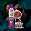 Califig Original Syrup of Figs Sachets Natural Digestive Aid |